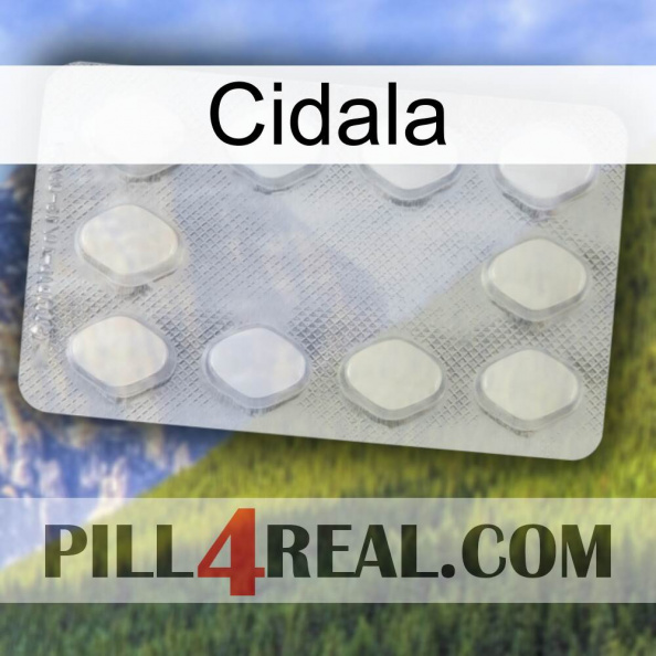 Cidala 16.jpg